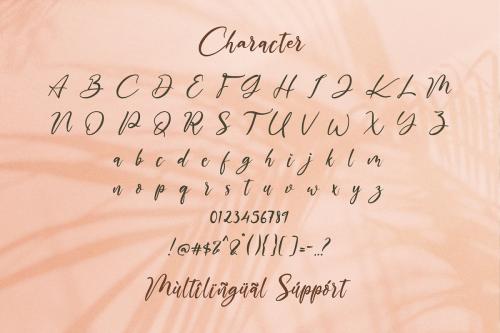 The Austin Script Font