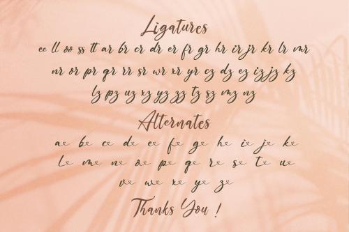 The Austin Script Font