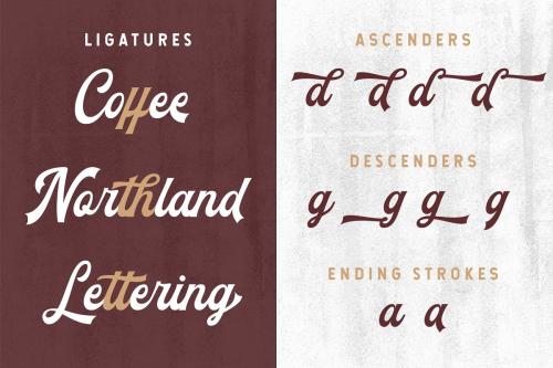 The Blendhes Script Font