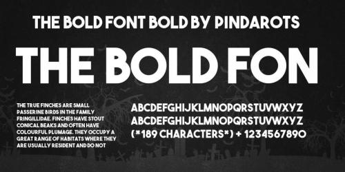 The Bold Font