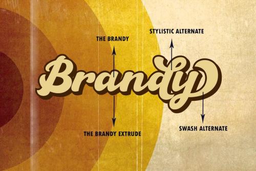 The Brandy Bold Script Font
