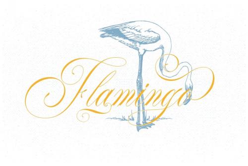 The Duality Calligraphy Font