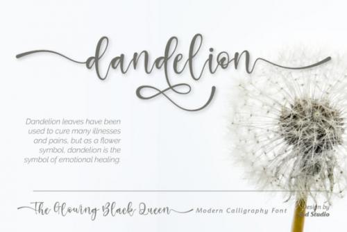 The Glowing Black Queen Script Font