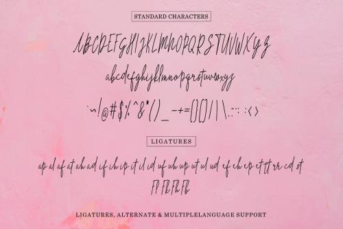The Hand Style Script Font