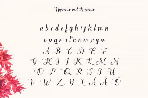 The Heart of Everything Font