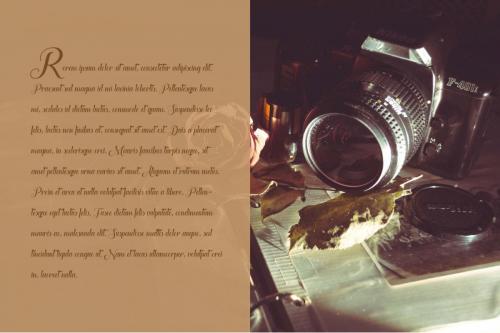The Heart of Everything Font