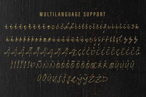 The Moyanka Script Font