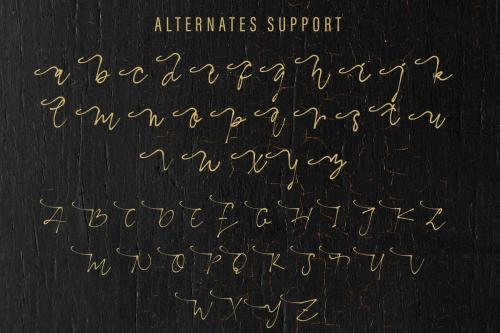 The Moyanka Script Font