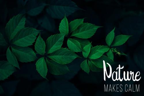 The Prague Handwritten Font