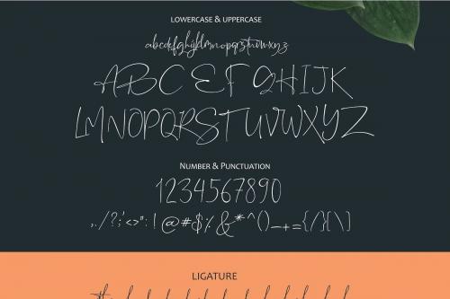 The Rochester Signature Font
