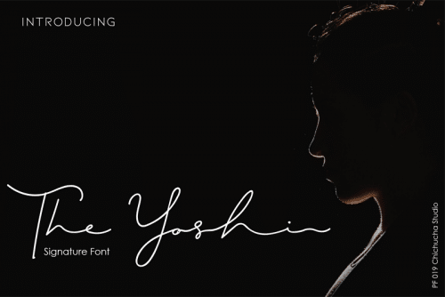 The Yoshi Font