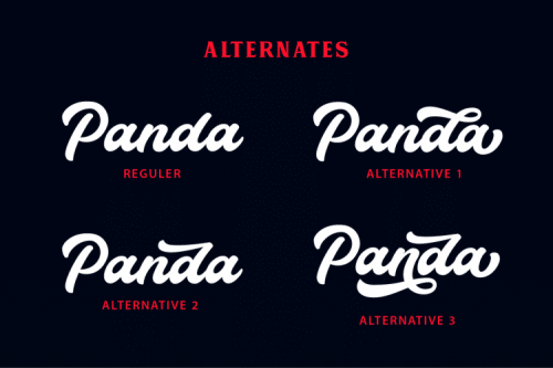 Thunder Bold Script Font
