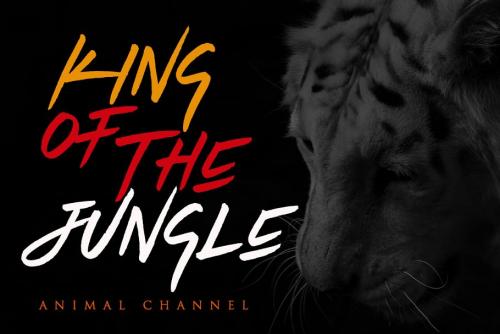 Tiger Walk Brush Font