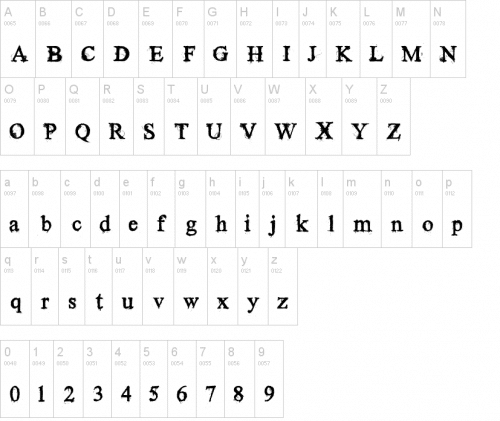 Times New Yorker Font