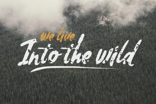 Tiny Moose Font Family