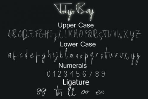 Tokyo Bay Script Font