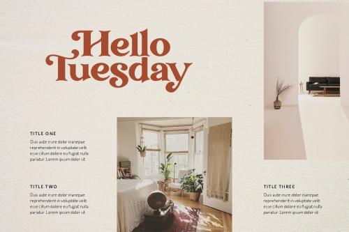 Transcity Serif Font