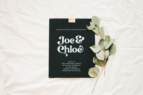 Transcity Serif Font