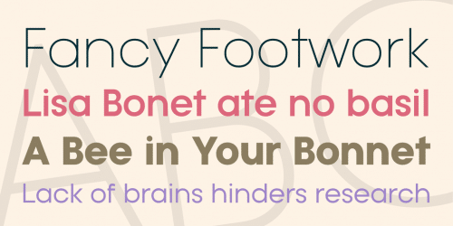 Typo Gotika Font Family
