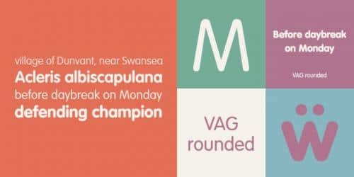 VAG Rounded Anime Sub Font