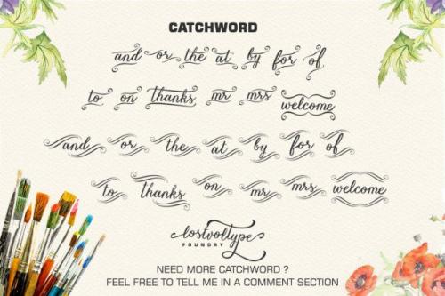 Vanessa Handscript Font