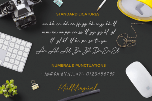 Velocity Font