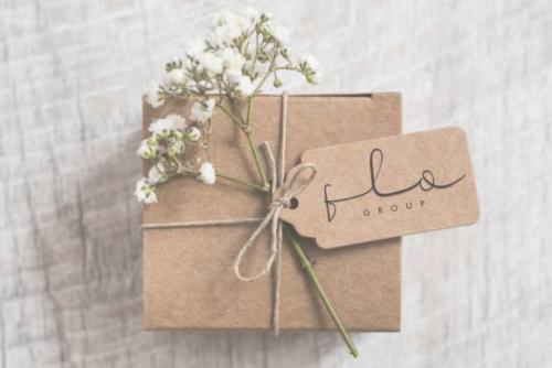 Veronica Elena Script Font
