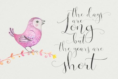 Victoria Script Font