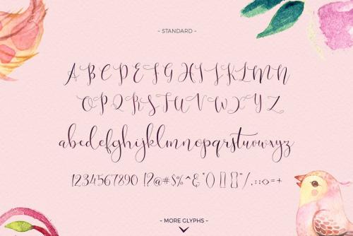 Victoria Script Font