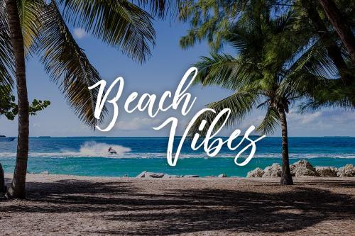 Vincentia Handstylish Font