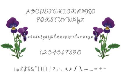 Violet Bee Font