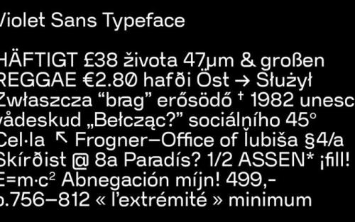 Violet Sans Serif Font
