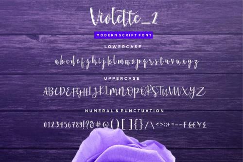 Violette Script Font