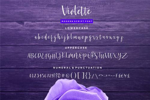 Violette Script Font