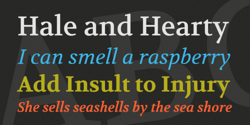 Volkhov Font Family