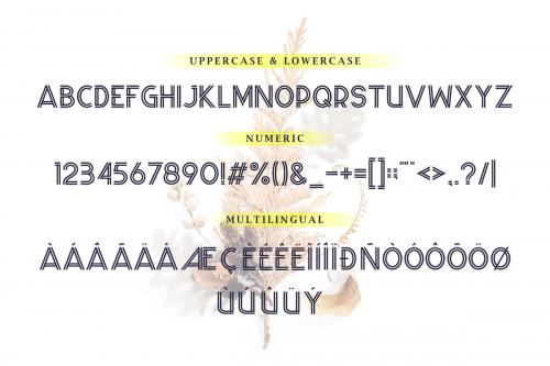 Wander Brave Font