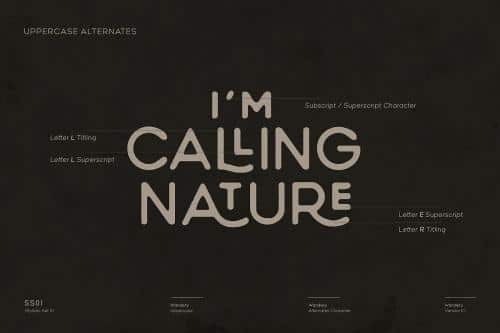 Wandery Sans Serif Font