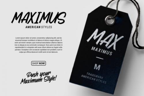 Wardness Script Font