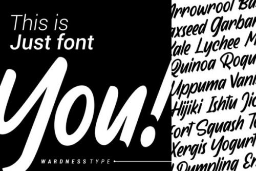 Wardness Script Font