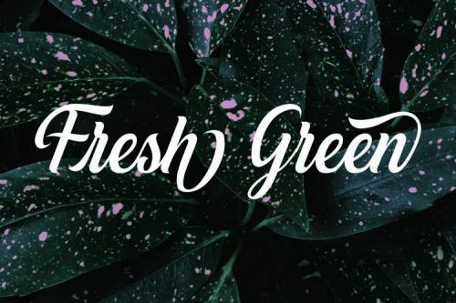 White Smith Calligraphy Font