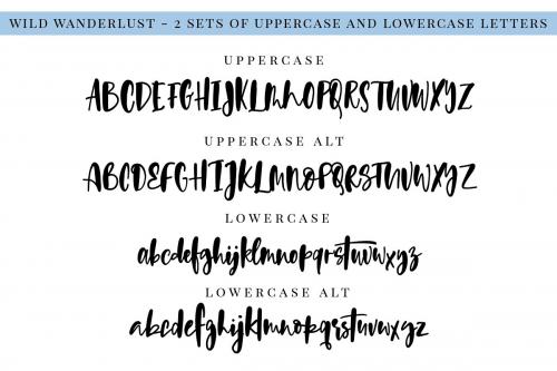 Wild Wanderlust Script Font