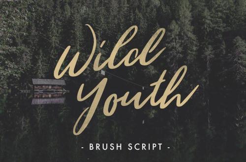Wild Youth