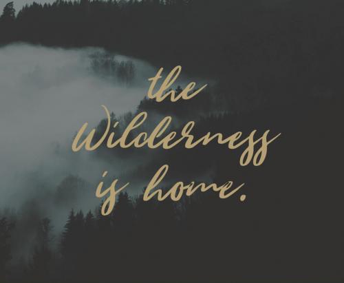 Wild Youth
