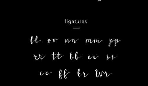 Wildera Font
