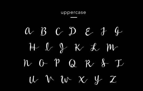 Wildera Font