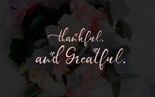 William Calligraphy Font