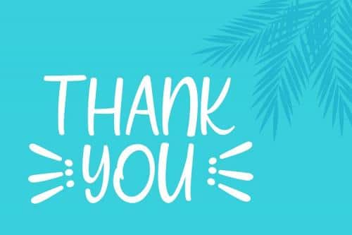 Wind Palm Script Font