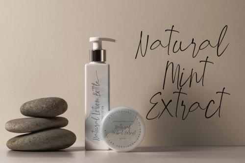 Winter Paradise Handwritten Font