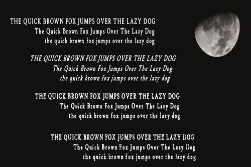 Wolfpack Display Font