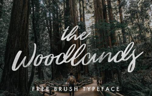 Woodlands Font